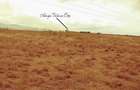 1 ac Land at Konza North - 4