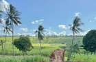 2.41 ac Land at Makonde Rd - 16