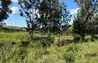 Land in Juja - 11