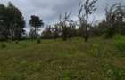 Commercial Land in Tigoni - 6