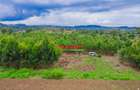 0.05 ha Residential Land at Nduiguine - 11