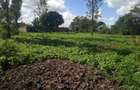 1.25 ac Land at Kamakis - 1