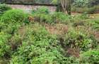 0.75 ac Land at Thindigua - 7