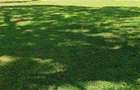0.5 ac Residential Land at Kirawa Rd - 2