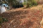 0.25 ac Land in Nyeri - 12