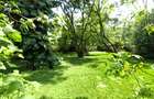 4 Bed House with En Suite in Runda - 5