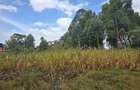 Land at Next To Tilisi Estate - 4