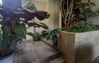 4 Bed Townhouse with En Suite in Spring Valley - 14