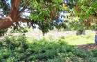 Land at Diani Beach Rd - 9