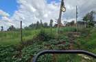 0.75 ac Commercial Land at Thindigua - 7