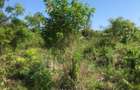 3.1 ac Land at Off Diani Link Rd - 12