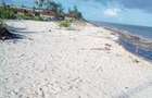 8 ac Commercial Land at Jacaranda - 1
