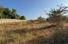 108 ac Land at Kilifi Plantation - 13