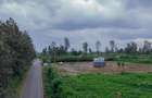 0.125 ac Residential Land in Juja - 3