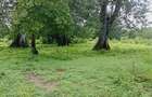 Land in Vipingo - 11