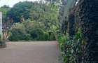 4 Bed House in Gigiri - 10