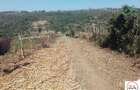 15 ac Land at Touching Nanyuki River - 1