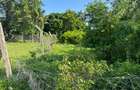 3,638 ft² Land at Mtwapa Cbd - 15