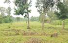 Residential Land at Mokoyot Close - 17