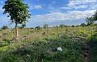 1,012 m² Land in Diani - 4