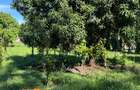 2 ac Land at Mtwapa - Animo - 17
