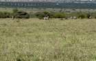 Land in Mombasa Road - 3