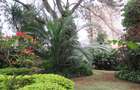 Land at Off Parklands Rd - 8