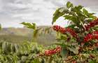 Land in Kiambu Road - 3