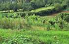 1 ac Residential Land at Tigoni - 4
