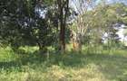 9 ac Land at Karen - 1