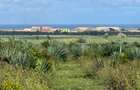 Land in Vipingo - 5