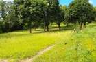 Land at Mtwapa - 7