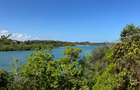 10.95 ac Land at Shanzu Beach - Overlooking Mtwapa Creek - 1