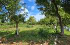7 ac Land at Kikambala - 7