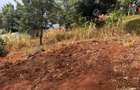 0.25 ac Land in Nyeri - 14