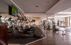 Furnished Commercial Property with Lift in Upper Hill - 13