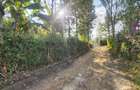 4 Bed House with En Suite at Magadi Road - 12