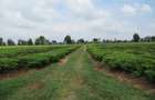 Land at Kiambu Rd - 11