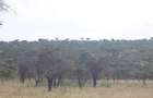 Land in Mombasa Road - 14