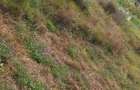 Land in Karen - 1