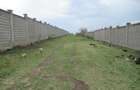 10 ac Land at Sabaki Rd - 2