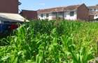 5 ac Land at South B - 1