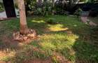 3 Bed Villa with En Suite at Lamarina - 4