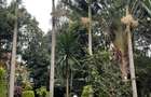 3 Bed Apartment with En Suite at State House - 6
