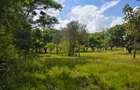 4 ac Land at Juja - 1