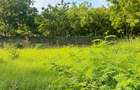 Land at Diani Beach Road - 11