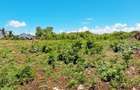 Land at Diani Beach - 18