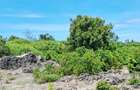 Land at Watamu - 10