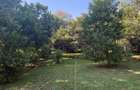 4.5 ac Residential Land in Karen Hardy - 10