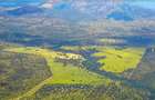540 ac Land in Bisil - 1